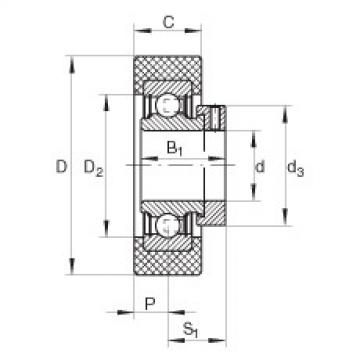 Подшипник RCSMA30/65-FA106 INA