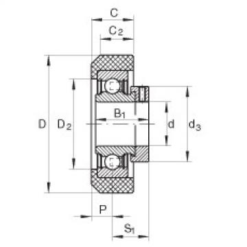 Подшипник RCRB25/57-FA106 INA