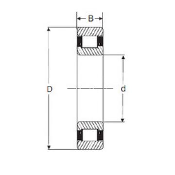 Подшипник LRJ 3.1/2 SIGMA