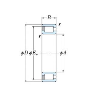 Bearing NCF3024V