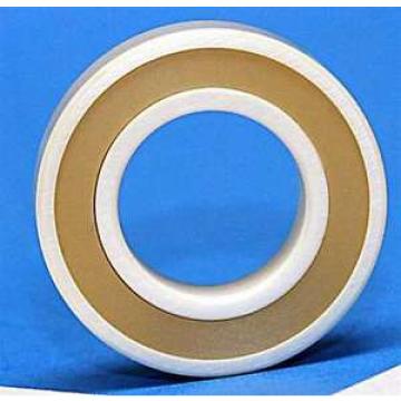 Full Ceramic Sealed Bearing 5x9x3 ZrO2 Miniature 8416