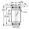 Подшипник GEG110ES-2RS AST #1 small image