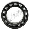 6006 Full Ceramic Silicon Nitride Bearing 30x55x13 Ball Bearings 8225