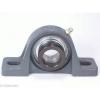 FHSPW201-12mm Pillow Block Cast Iron Light Duty 12mm Ball Bearings Rolling #4 small image