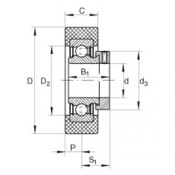 Подшипник RCSMA30/65-FA106 INA #1 image