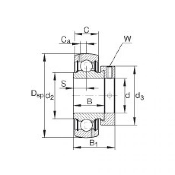 Подшипник GRA203-NPP-B-AS2/V INA #1 image