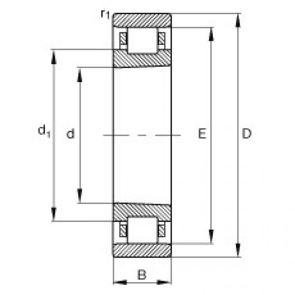 Подшипник N1010-K-M1-SP FAG #1 image