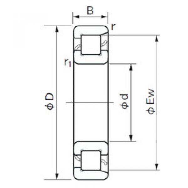 Подшипник NF 428 NACHI #1 image