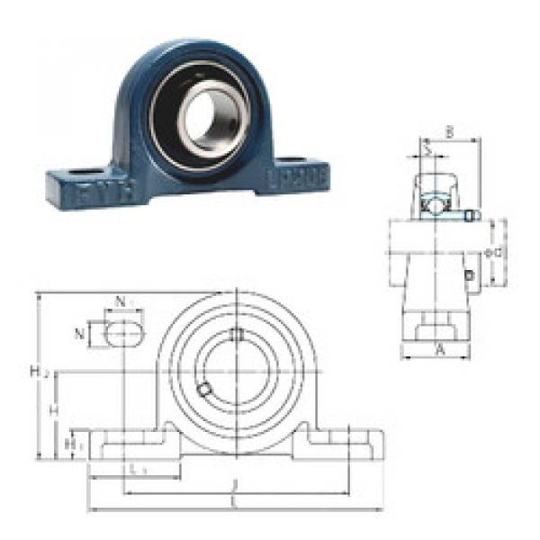 Подшипник BLP207-20 FYH #1 image